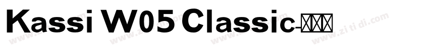 Kassi W05 Classic字体转换